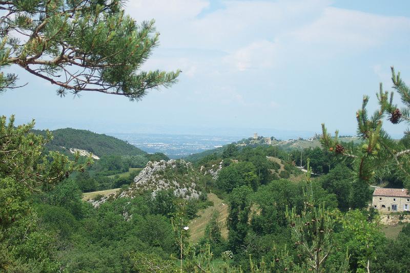 2011-05- (1403).JPG